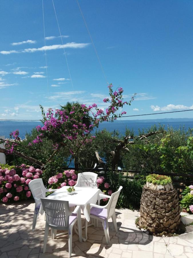 Apartment Hortenzija Baška Voda Dış mekan fotoğraf