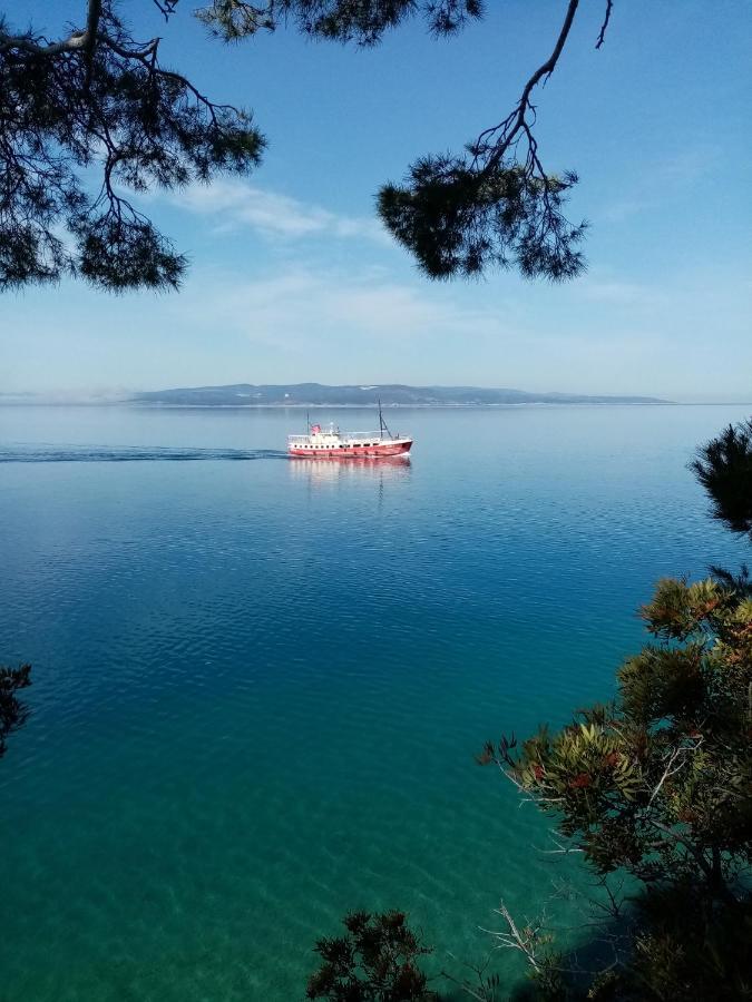 Apartment Hortenzija Baška Voda Dış mekan fotoğraf