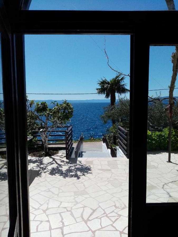 Apartment Hortenzija Baška Voda Dış mekan fotoğraf