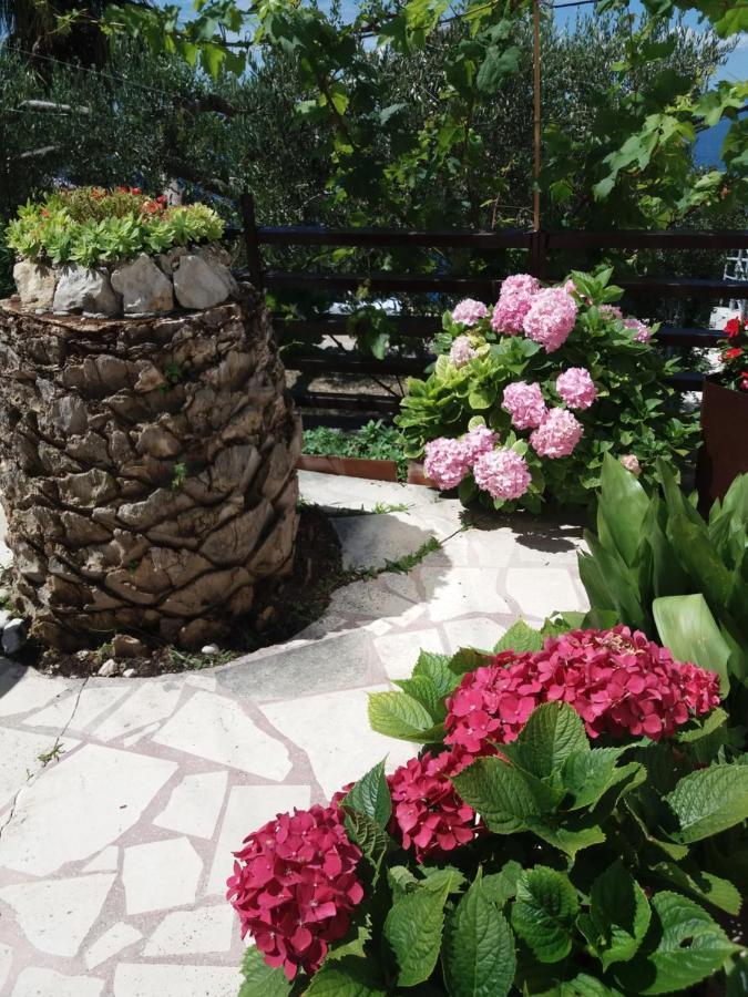 Apartment Hortenzija Baška Voda Dış mekan fotoğraf